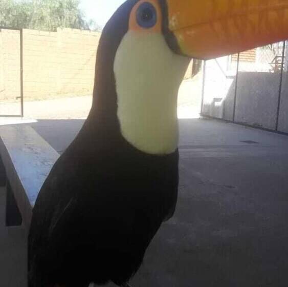 ホテル Pousada Manaca