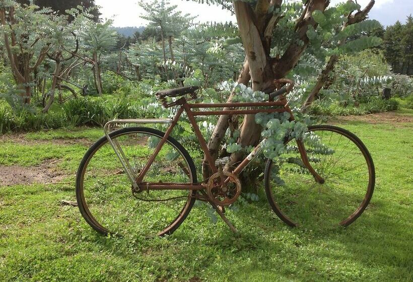 فندق Rancho El Caballero