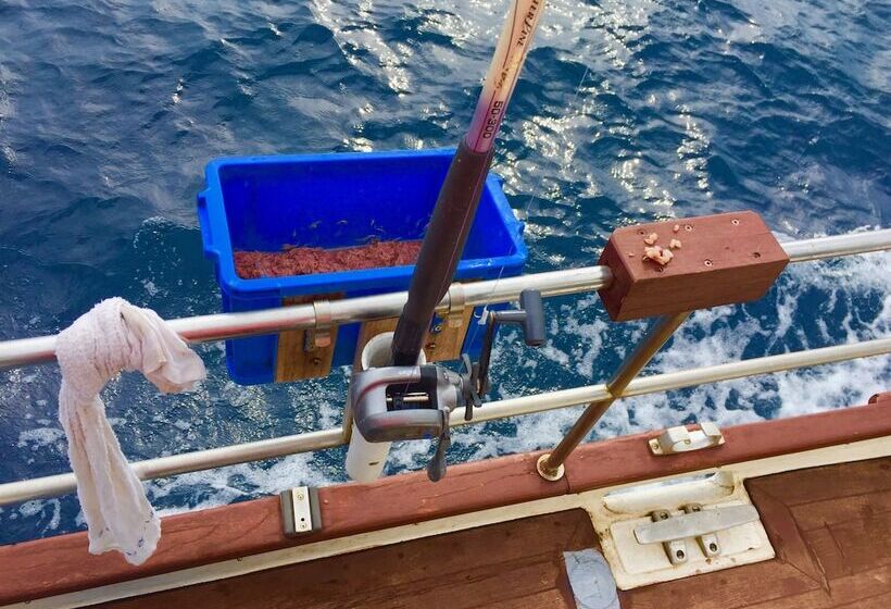 بنسيون Fish And Trips