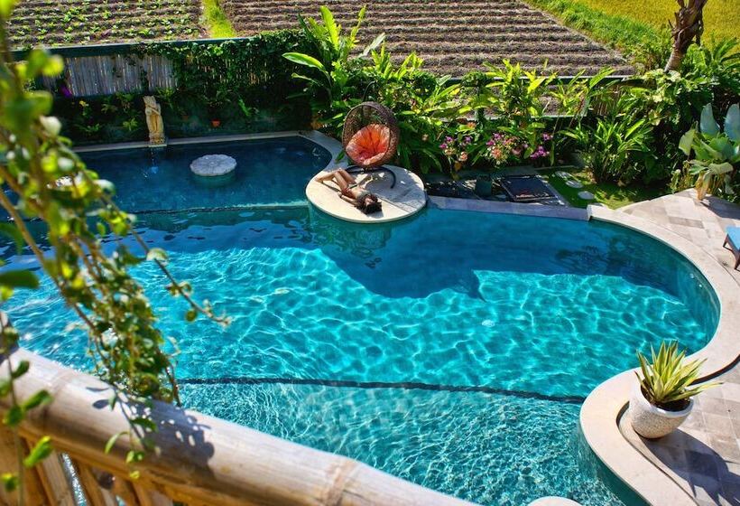 Отель Floating Leaf Eco Luxury Retreat