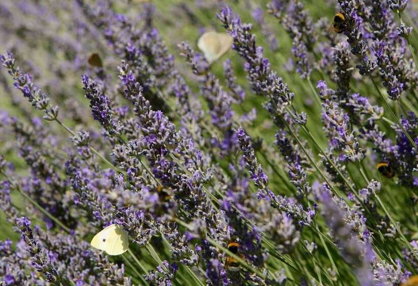 ホテル Convento Di San Colombo