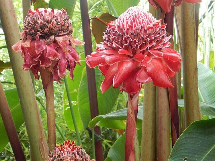 هتل Eco Lodge La Juanita