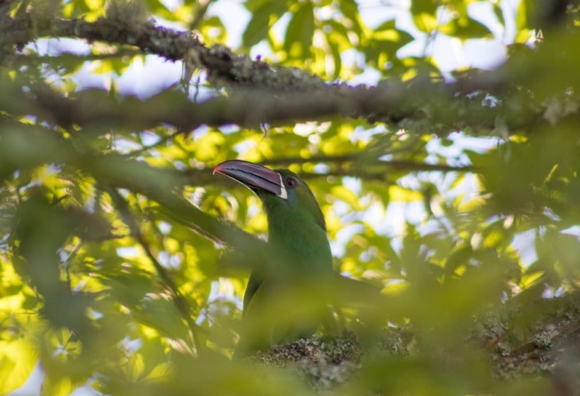 هتل Eco Lodge La Juanita