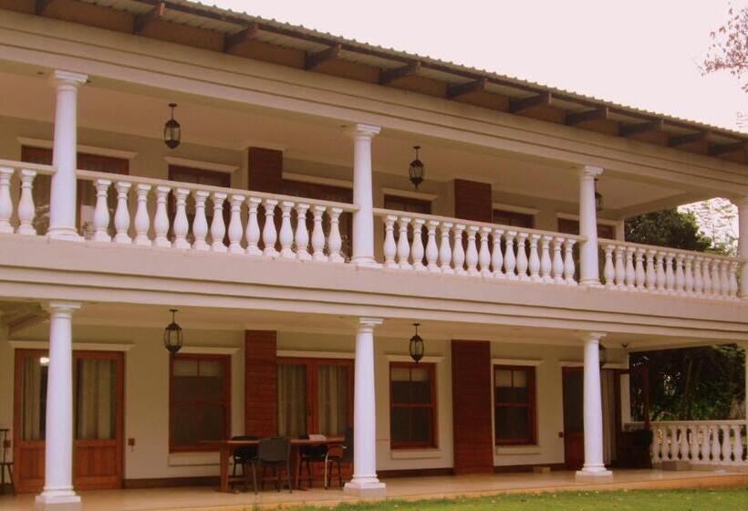 פנסיון Or Tambo Guest House