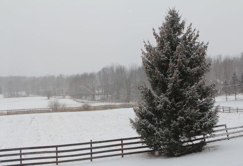 Equestrian House  Log Cabin