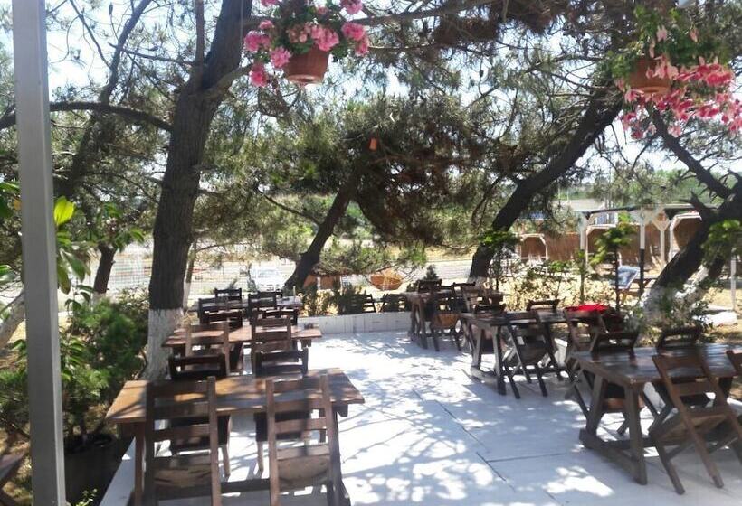 ホテル Atlitur Gumusdere Beach Camp