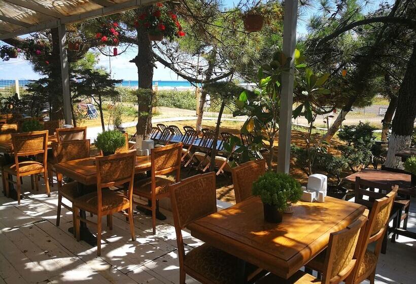 ホテル Atlitur Gumusdere Beach Camp