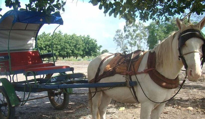 乡村酒店  Fazenda Villa Rial