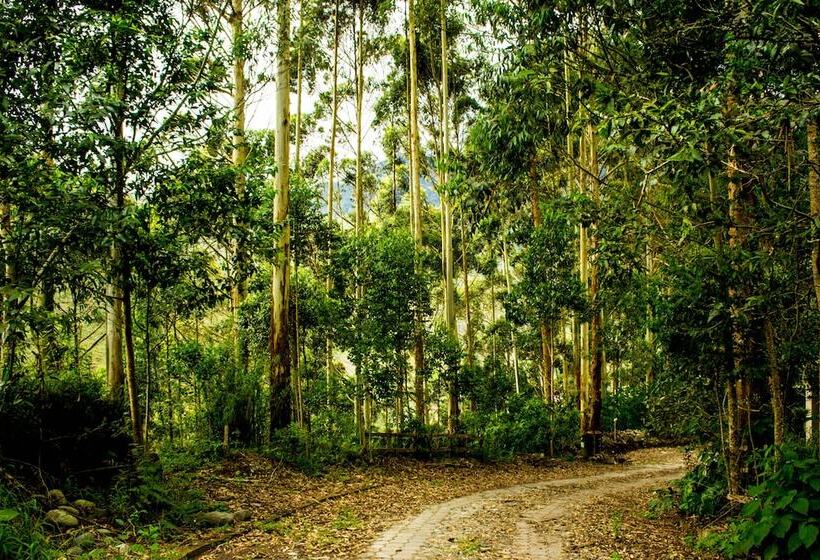 هتل Ulbilla Hostería