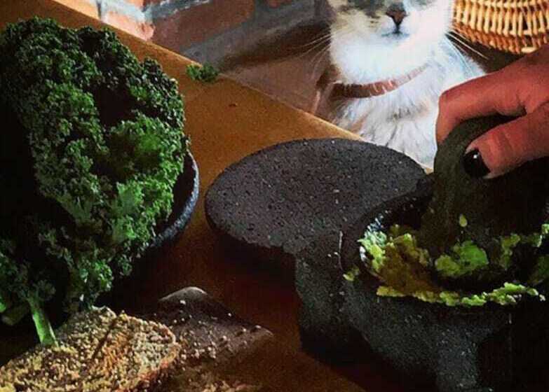 پانسیون Casa La Caracola Vilcabamba