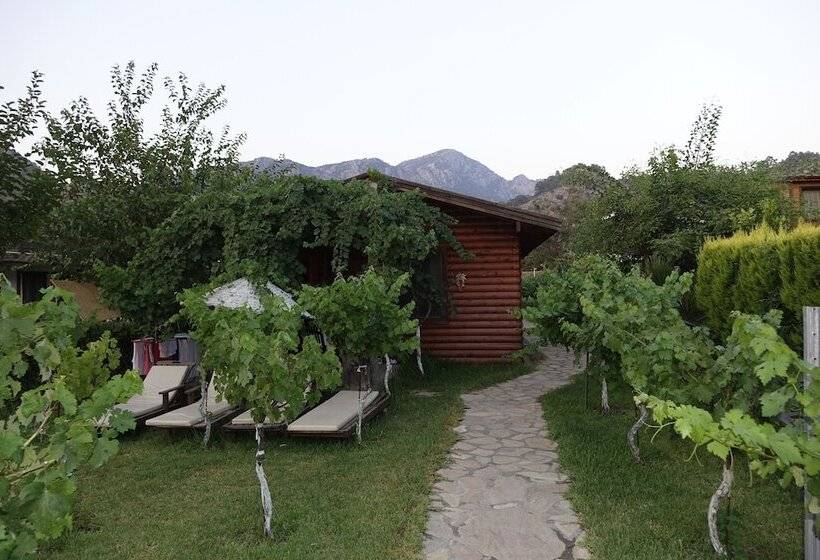 膳宿费 Sakin Vadi Winehouse