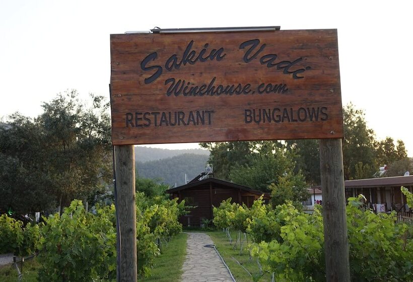 膳宿费 Sakin Vadi Winehouse