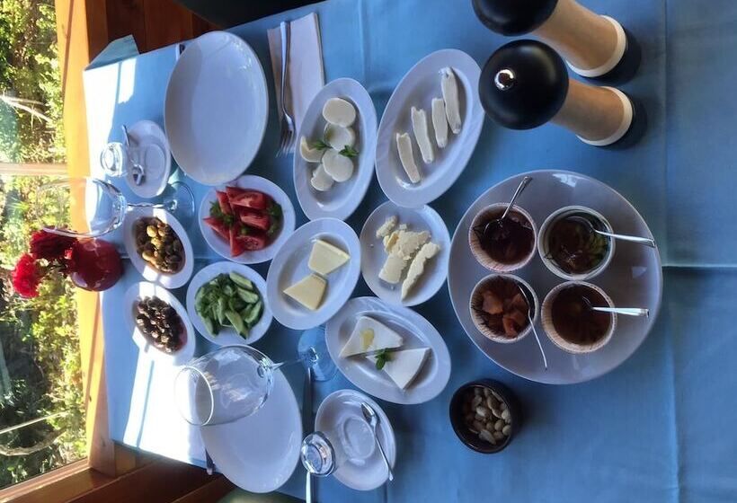 膳宿费 Sakin Vadi Winehouse