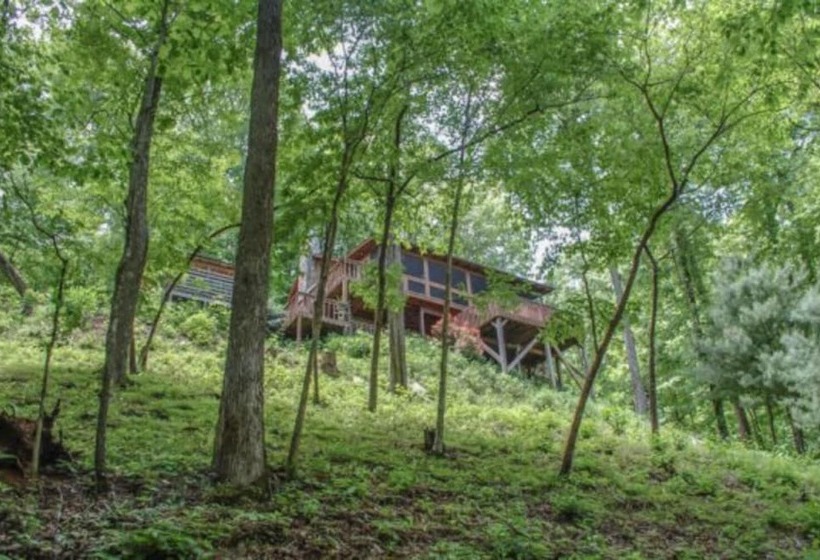 Bare N The Woods