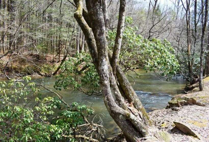 Creeksong