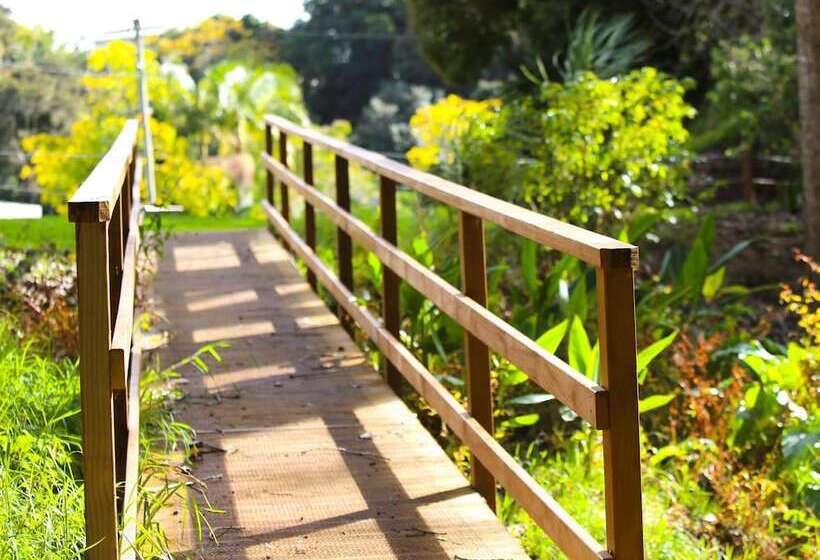 منتجع Orere Point Top 10 Holiday Park