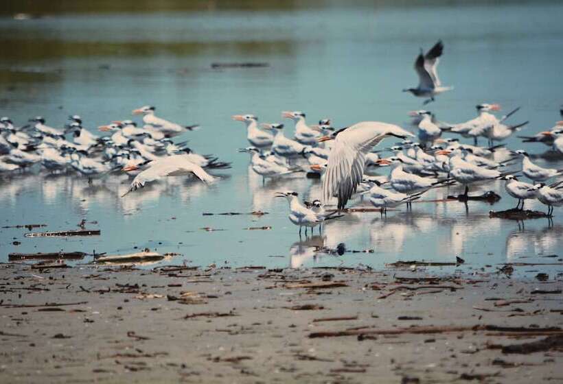 هتل Awatawaa Ecolodge