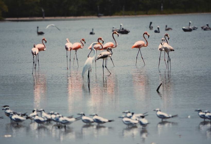 هتل Awatawaa Ecolodge