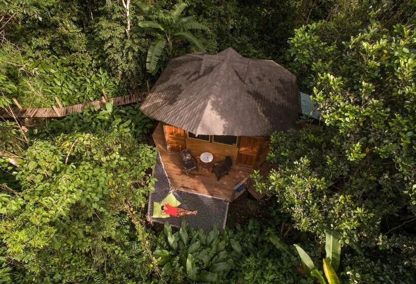 فندق La Manigua Lodge
