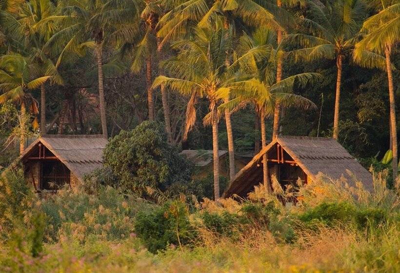 酒店 Simbamwenni Lodge And Camping