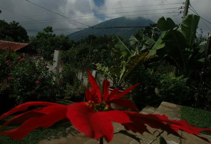 فندق فئة نجمة واحدة Los Cactus