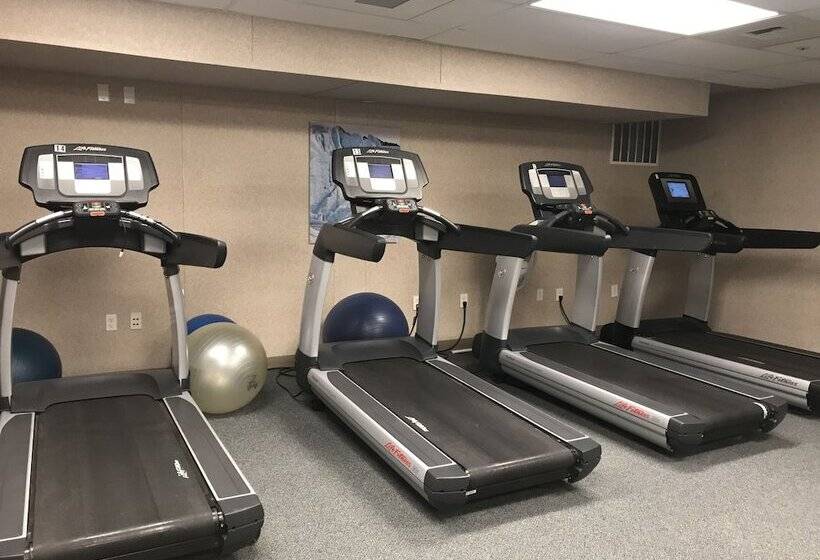 בית מלון כפרי Brooks Camp