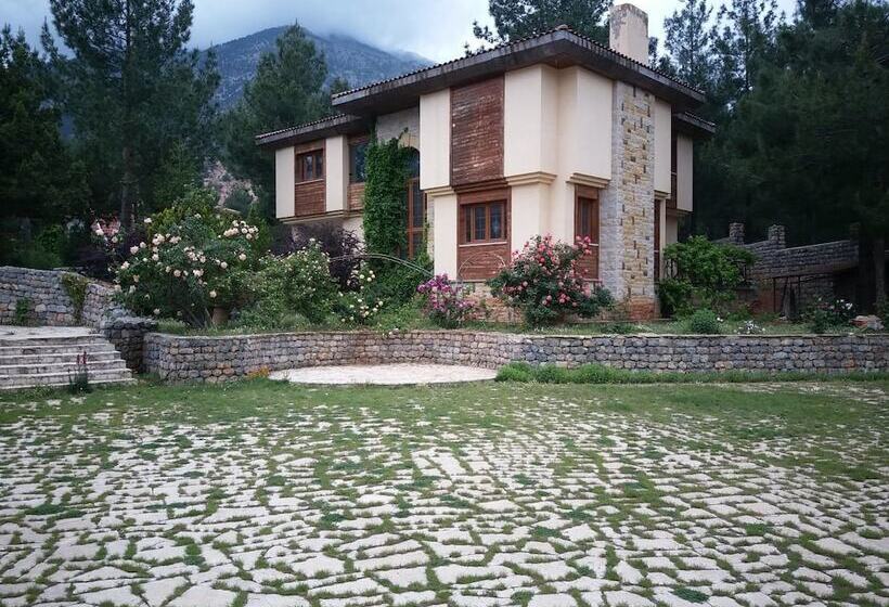 فندق Pendosis Tatil Koyu