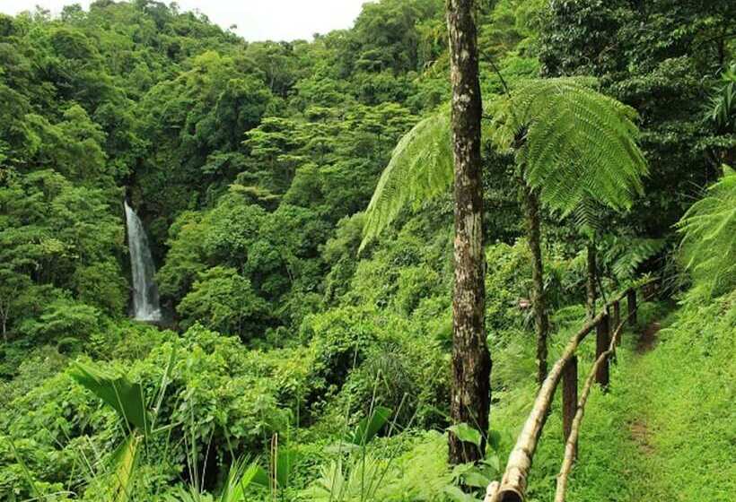 فندق Villa Tavida Lodge