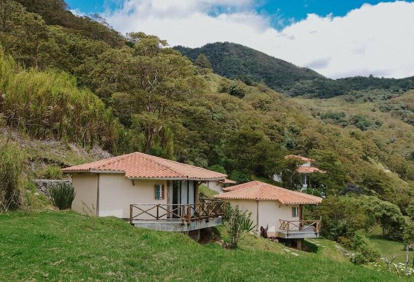 Monte Gracia Wellness Hotel & Spa   Adults Only