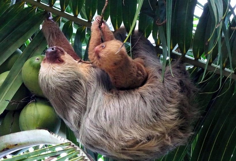 B&b Jardin De Los Monos