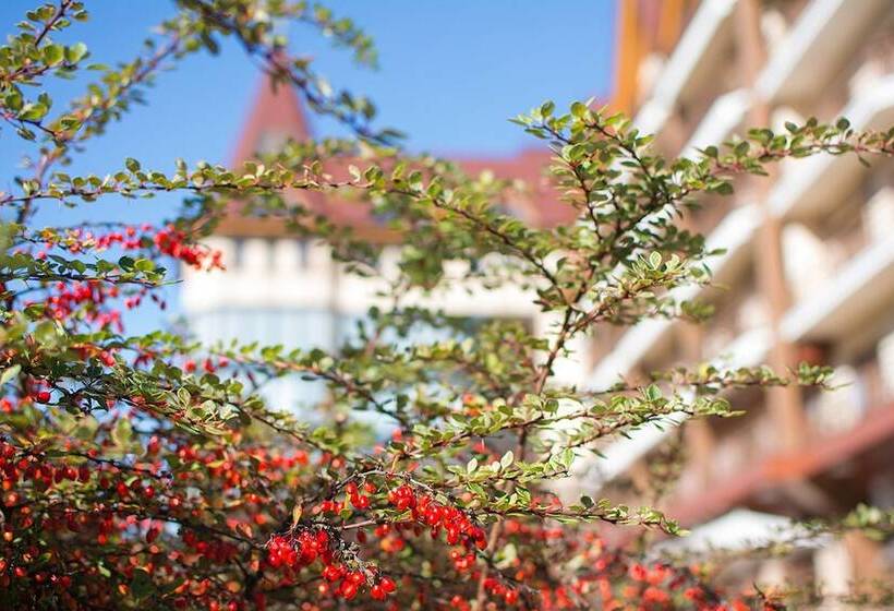 فندق Areal Congress