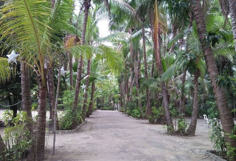فندق Coco Paradise Beach Resort