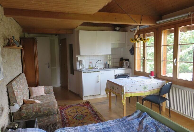 بنسيون Bed & Breakfast Erlach