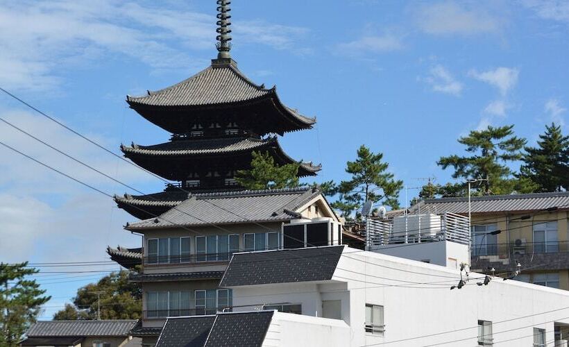 ペンション Cotton 100 Percent