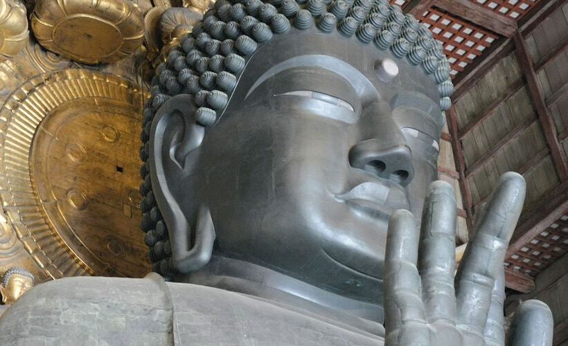 ペンション Cotton 100 Percent