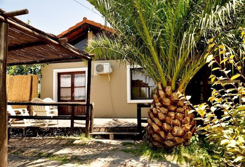 Sangiovese Club House