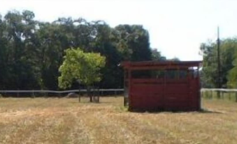 צימר Grandeur Farm Equine Retreat