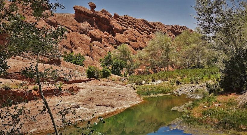 تختخواب و صبحانه Maison D Hote Argana