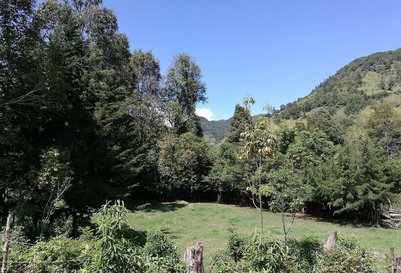 هتل Cabañas Tipicas De Silvia