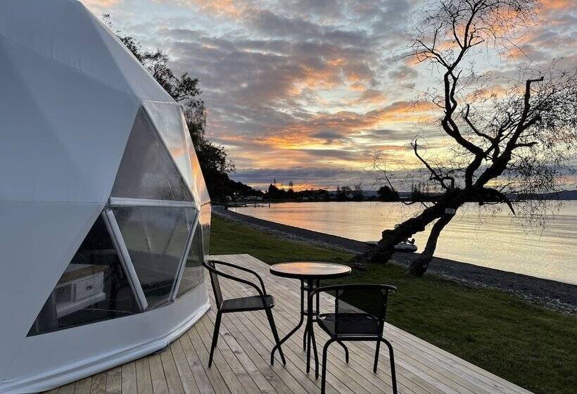 渡假胜地  Motutere Bay Top 10 Holiday Park