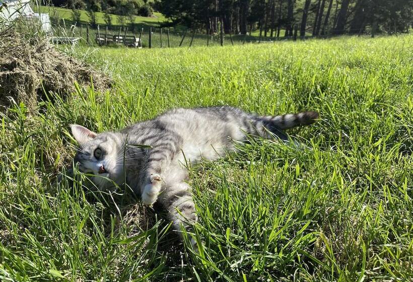 צימר Pukeatua Farmstay