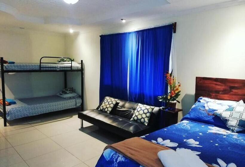 فندق فئة نجمة واحدة Hospedaje La Galerie