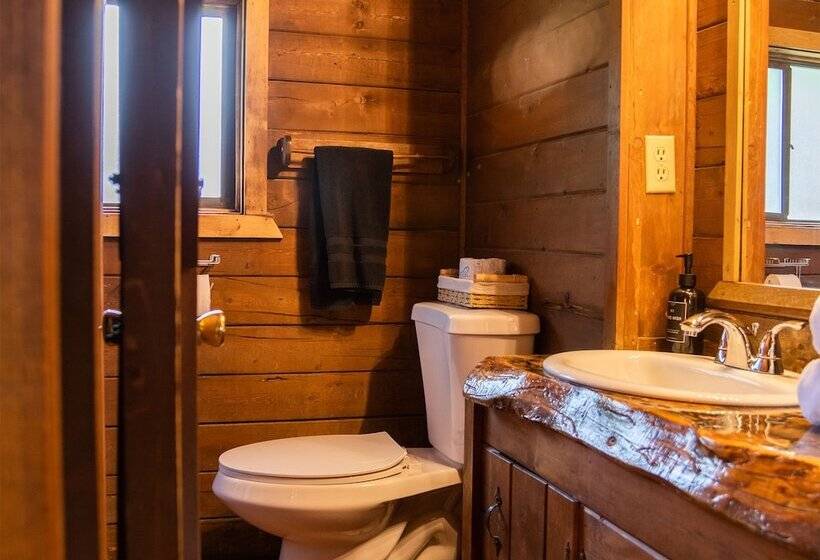 호텔 High Creek Lodge And Cabins
