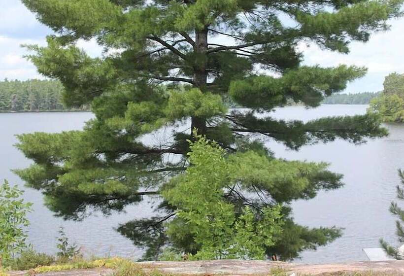 فندق Mashkinonje Lodge