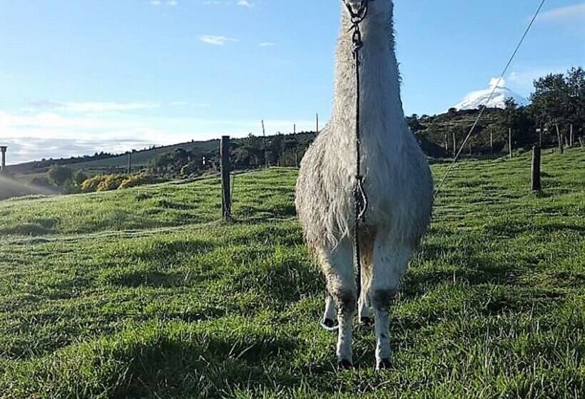 هتل روستایی Hacienda El Porvenir