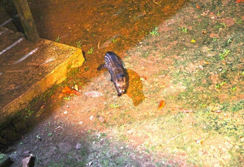 酒店 Singgahmata Holidays Camp