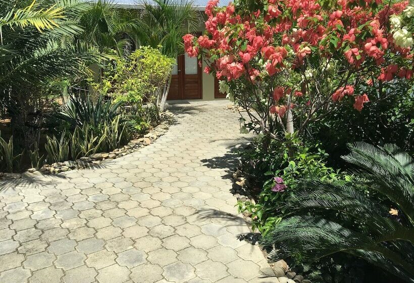 هتل Soma Surf Resort