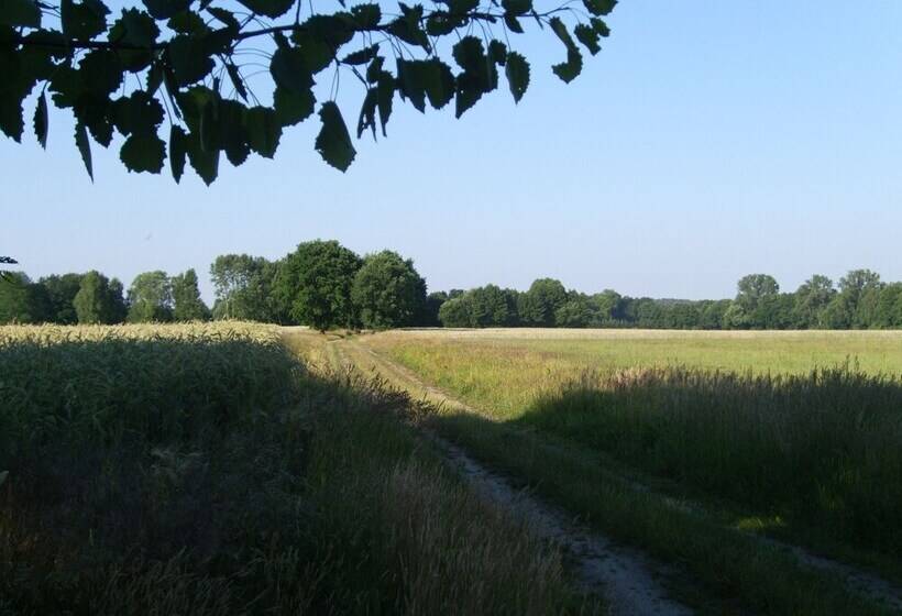 ホテル Steffi S Zimmervermietung