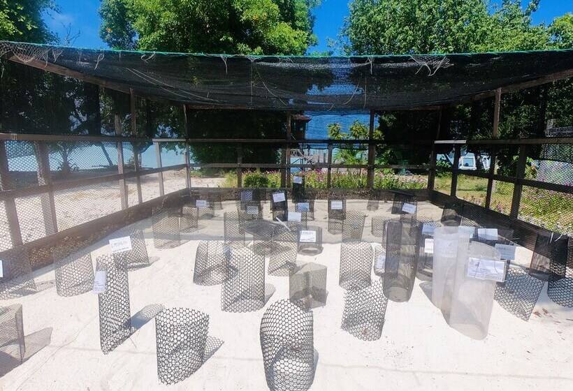 酒店 The Reef Dive Resort