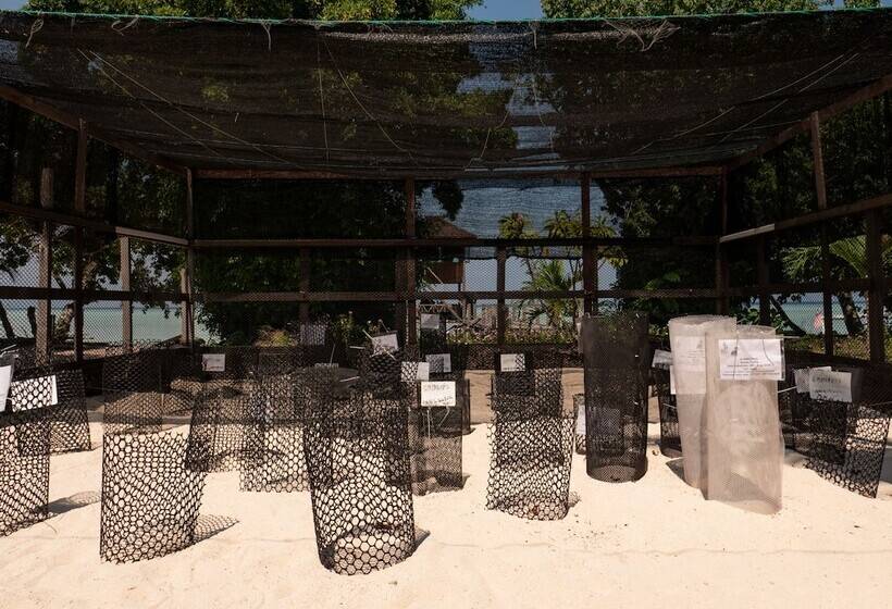 酒店 The Reef Dive Resort